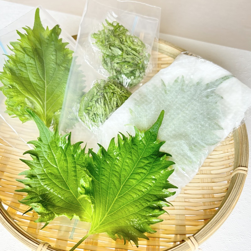 大葉」簡単に長持ち保存方法 使い切れない分も新鮮に