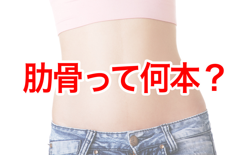 人体の主な骨の名称高津整体院