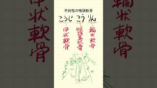 Visual Anatomy 視覚解剖学