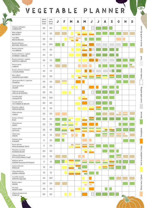 野菜作りの計画を立てよう！種・苗・球根・ガーデニング用品・農業資材の通販サイト タキイネット通販