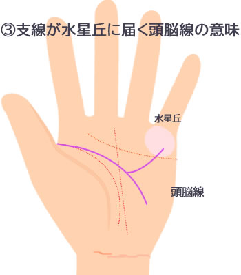 手相はなぜ切れる？原因や部位・パターン別の意味、対処法について解説！日本占い師協会 JFTA