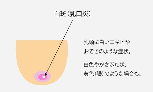 キララさんのインスタグラム写真 - (キララInstagram)「. .