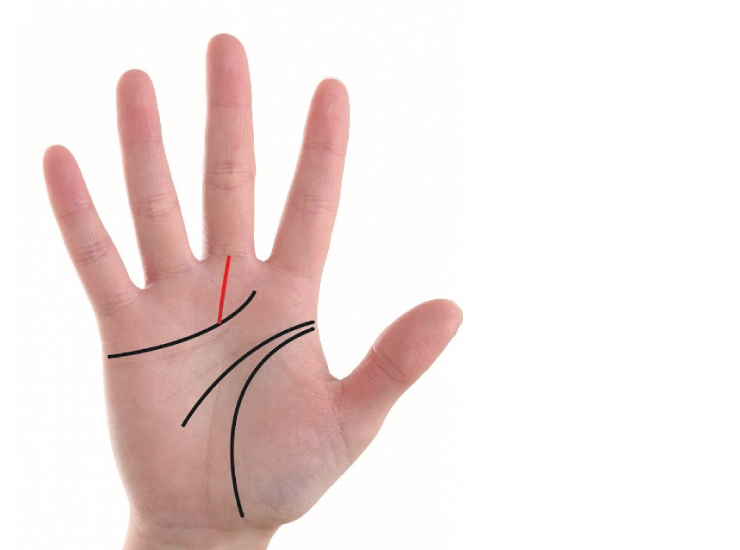 個別「 手相 月丘上部から昇る運命線」の写真、画像 - okabon's fotolife