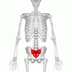 エピドラ脊柱管狭窄症の手術あいちせぼね病院