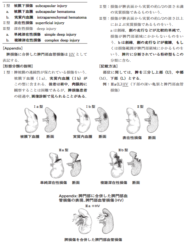1．鈍的腹部外傷における出血の制御