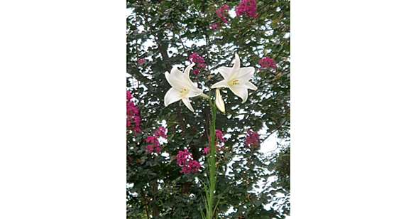 今週末の良かったこと ヘトヘトからの東京観光、雨を避けて走る- copy and destroy