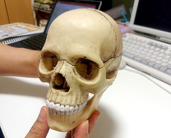 頭蓋骨の老化」に合わせた新しいメニュー 美鼻+エイジング子顔矯正 の導入鼻を高く小顔に 鼻を美しく整える ～新・隆鼻矯正術～