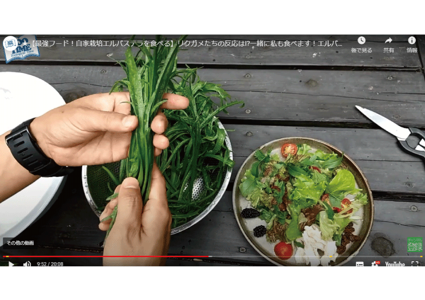 エルバステラ植えました。農園K56 柿栽培と家庭菜園やってます - 楽天ブログ