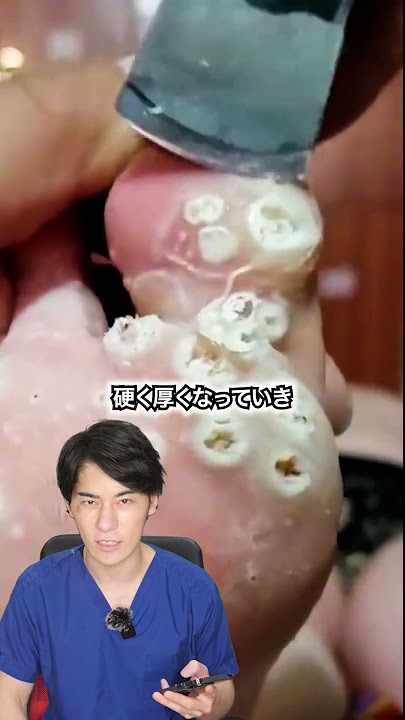 蓮コラの写真素材写真素材なら「写真AC」無料 フリー ダウンロードOK