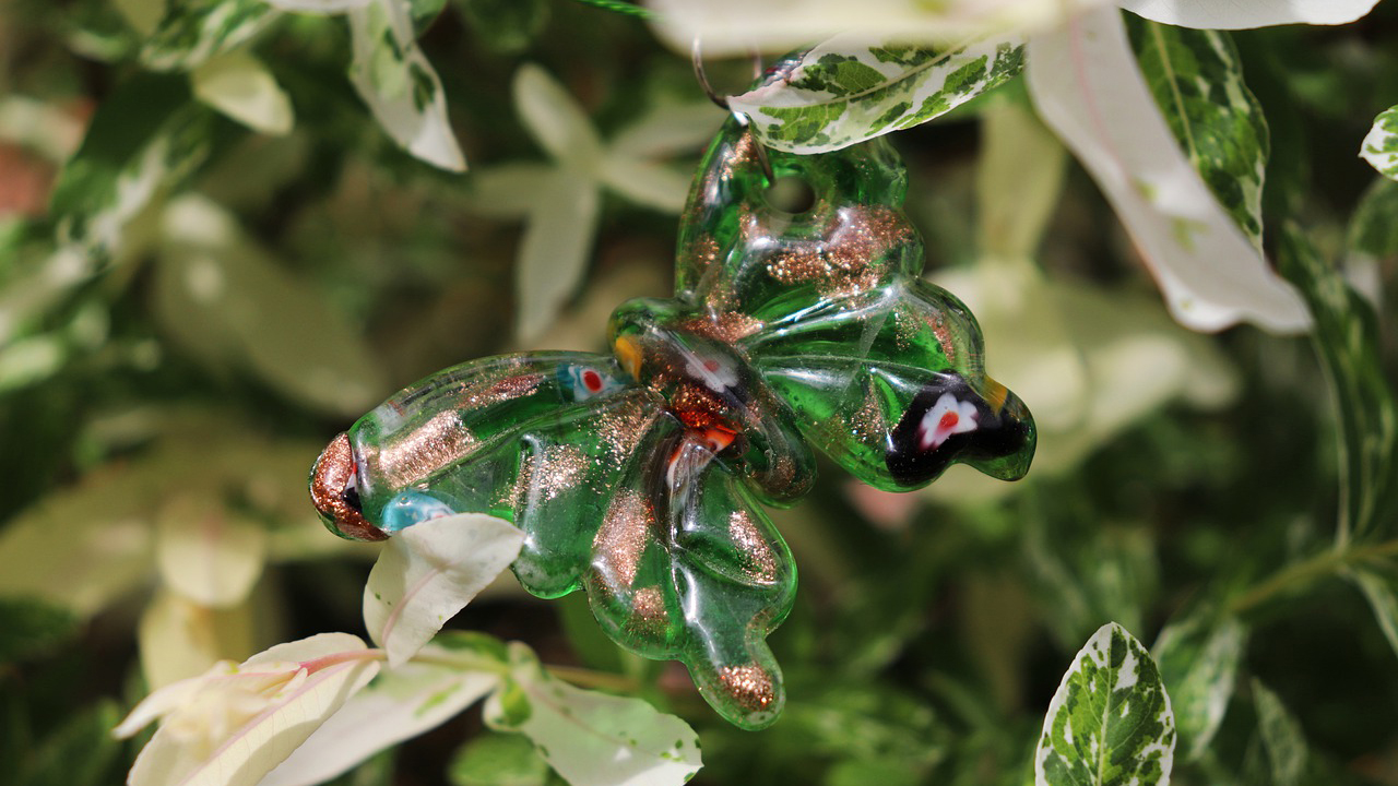 ほんっとうに気持ち悪いのでアップしていただけるか心配 : 昆虫ブログ むし探検広場