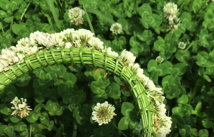 野草で蝶々やモビールが作れる簡単な花遊び - ウェザーニュース