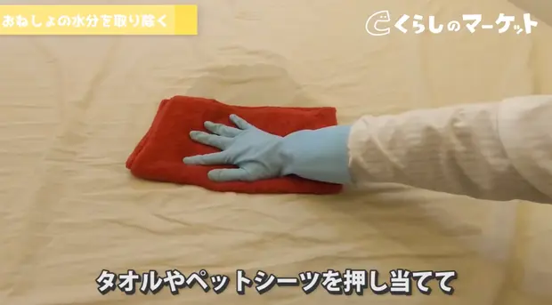 Amazon.co.jp: 寝具クリーナー マットレス尿汚れ専用 天然素材 100％ 水洗い不要 尿染み黄ばみ取り 漂白剤 洗浄 消臭 除菌万能汚れ落とし シミ抜き剤 黄ばみ落とし&防止 強力 染み抜き 血液 油汚れ 泥汚れ シミ 食べこぼし 汚れ落とし 布 ソファ 布団 寝具 カーペットお部屋