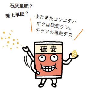 第2回 プランター菜園のための土づくり ～土の化学性と生物性～土と根がカギ 吉田流プランター菜園読みものサカタのタネ 家庭菜園・園芸情報サイト園芸通信