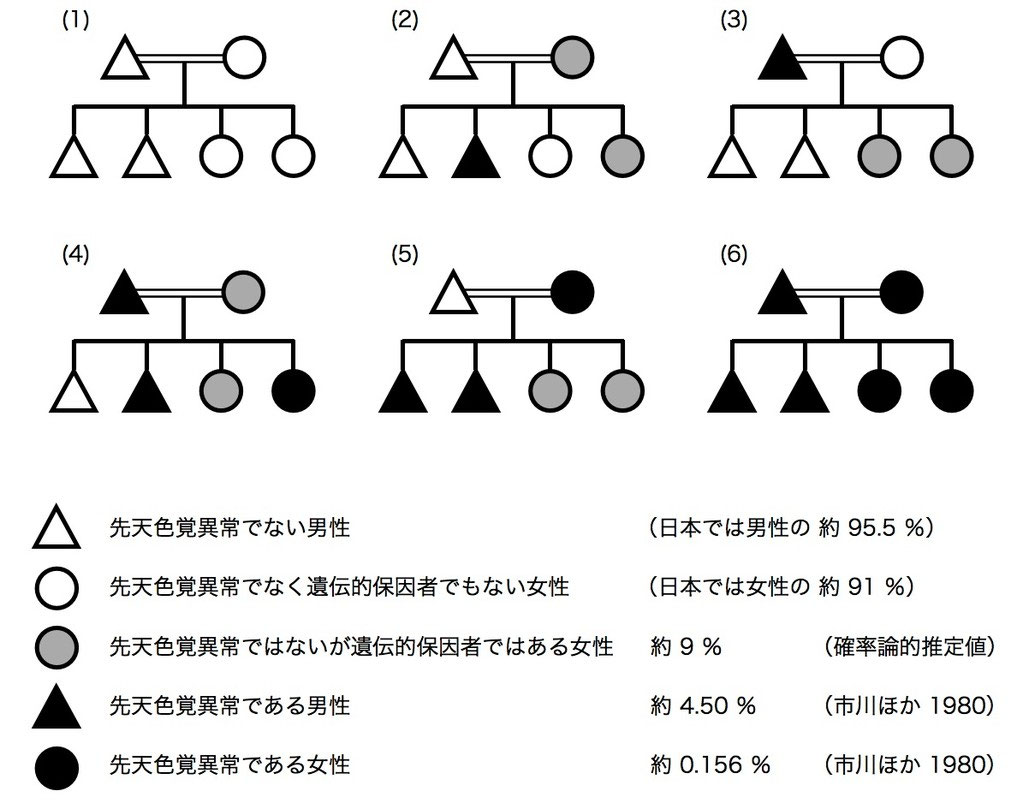 赤緑色覚異常2006.1.31