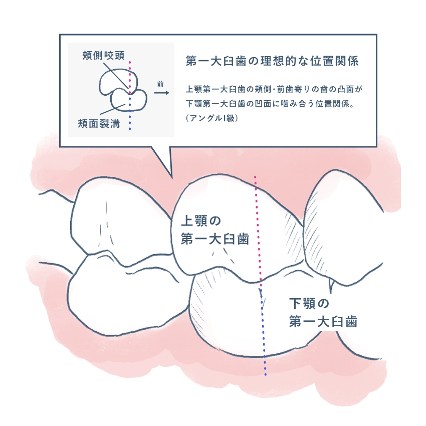 １．口腔病理診断教育支援