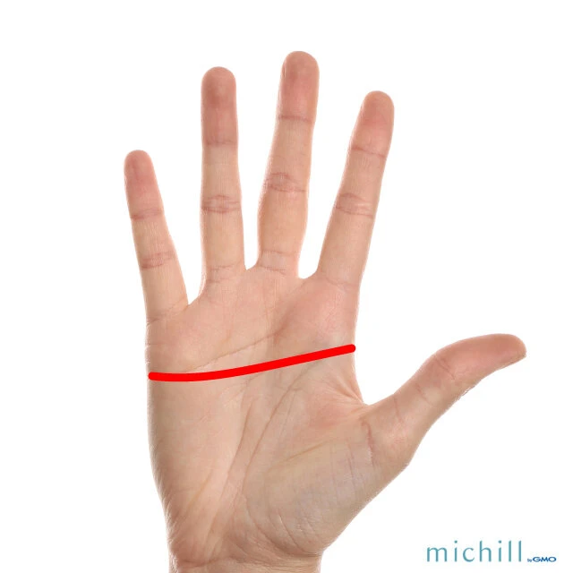 手相占い 右手と左手の手相が大きく違う人の適性とタイミングの見極め方とは卯野たまごの空気を読まず手相を読むmi-mollet ミモレ明日の私へ、小さな一歩！ 2 2