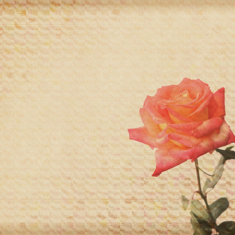 大東リハビリテーションセンターもみの木 – 社会医療法人 関愛会