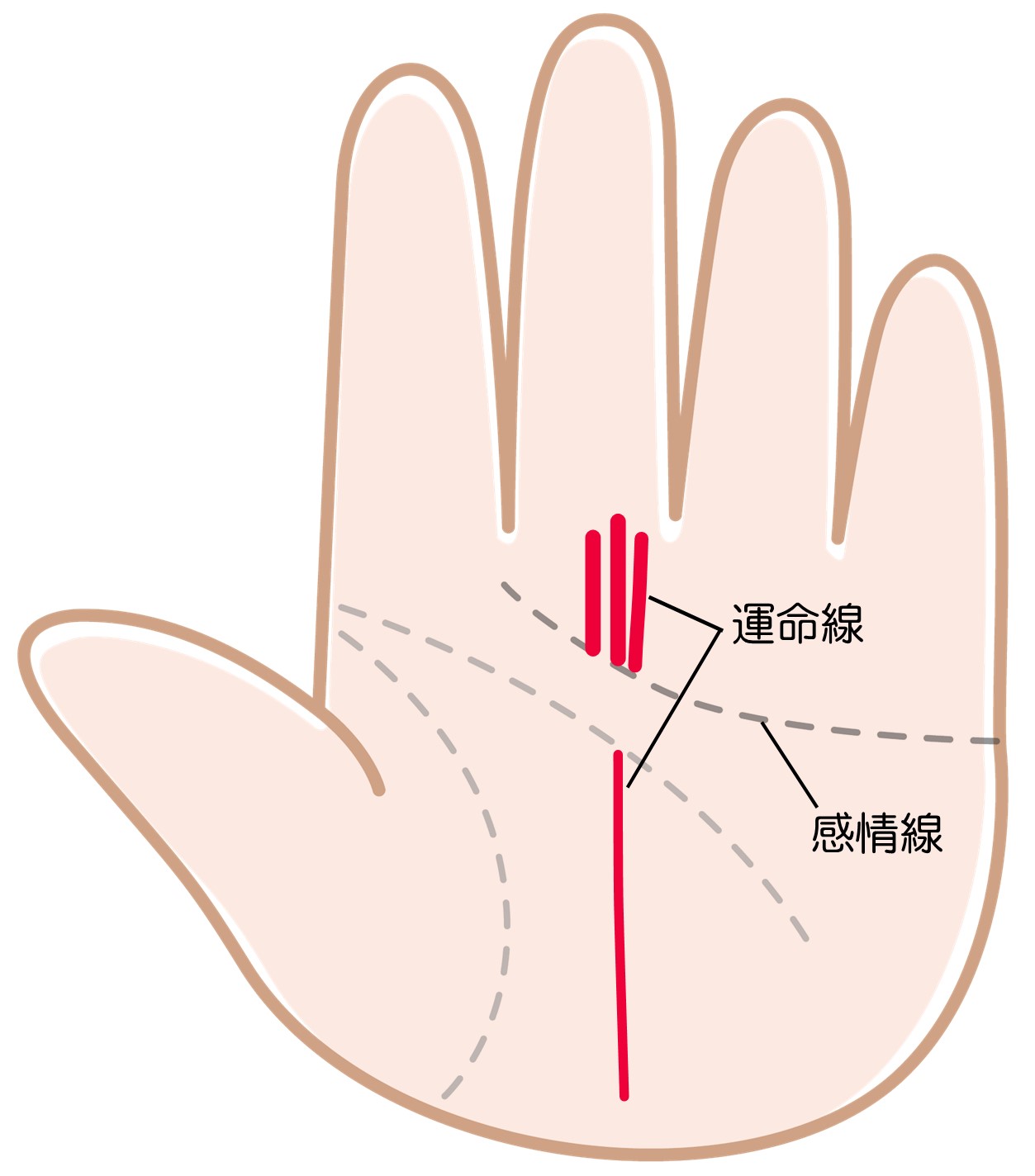 はじめての手相占い８パターンで基本4線を解説！あなたの才能と恋愛運は？ - cocoloni占い館 Sun