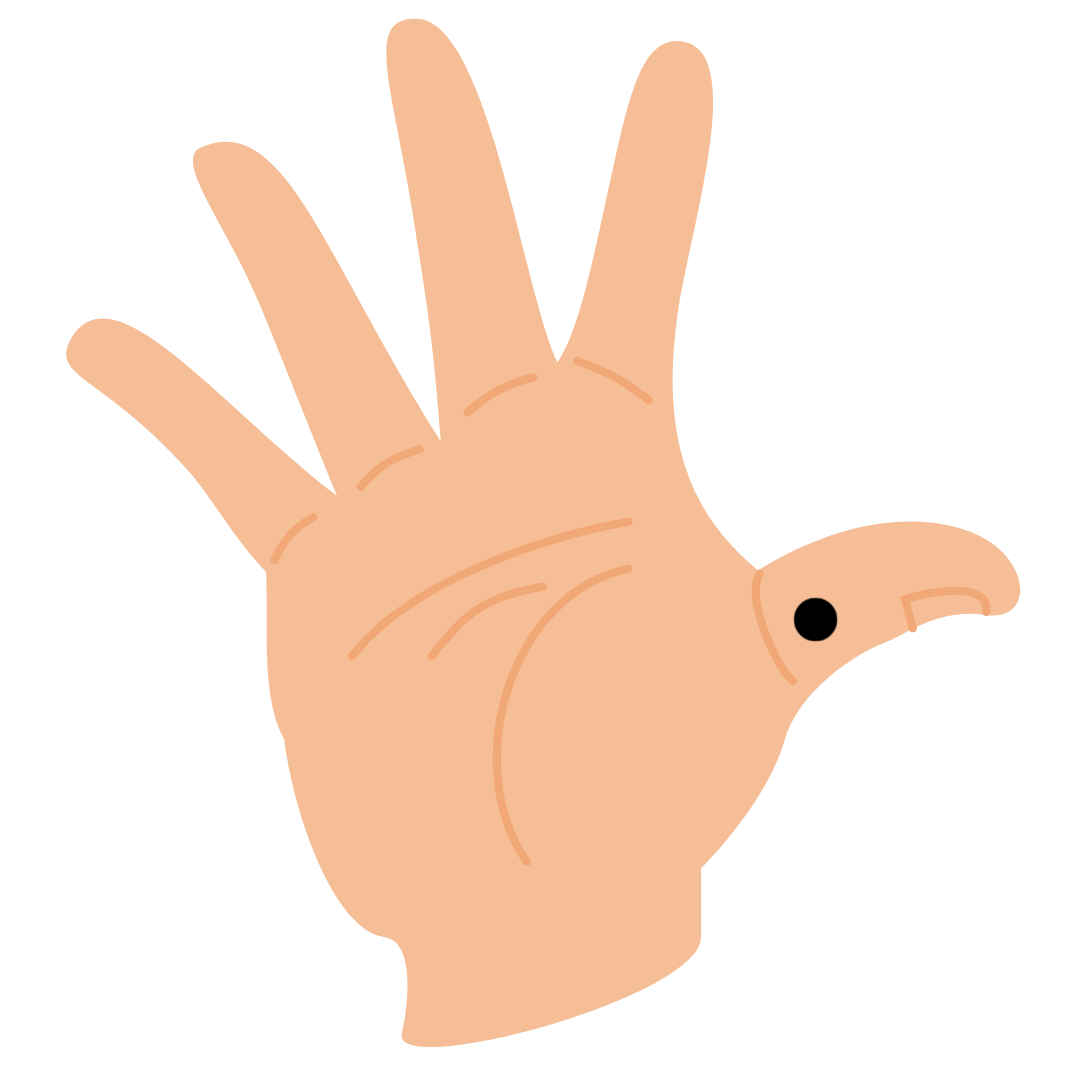 実は手にできる黒子 ほくろ にも 意味があるの知っていますか？ その中でも、今回は、 手首の黒子について解説していきます🖐️急にできる事もあるので保存しといてね！ 欲しい黒子は書いても大丈夫です👍 是非、最後までご覧ください✨ ＼他の投稿はこちら