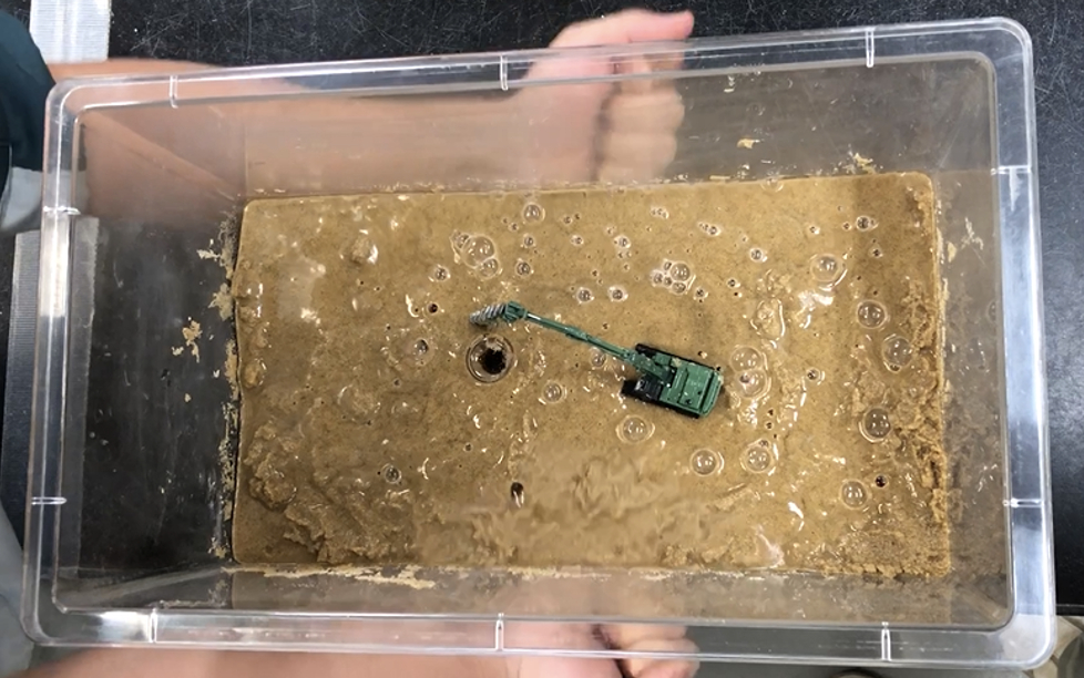 自由研究・地学 地震の液状化現象を再現しよう 中学生向けリセマム
