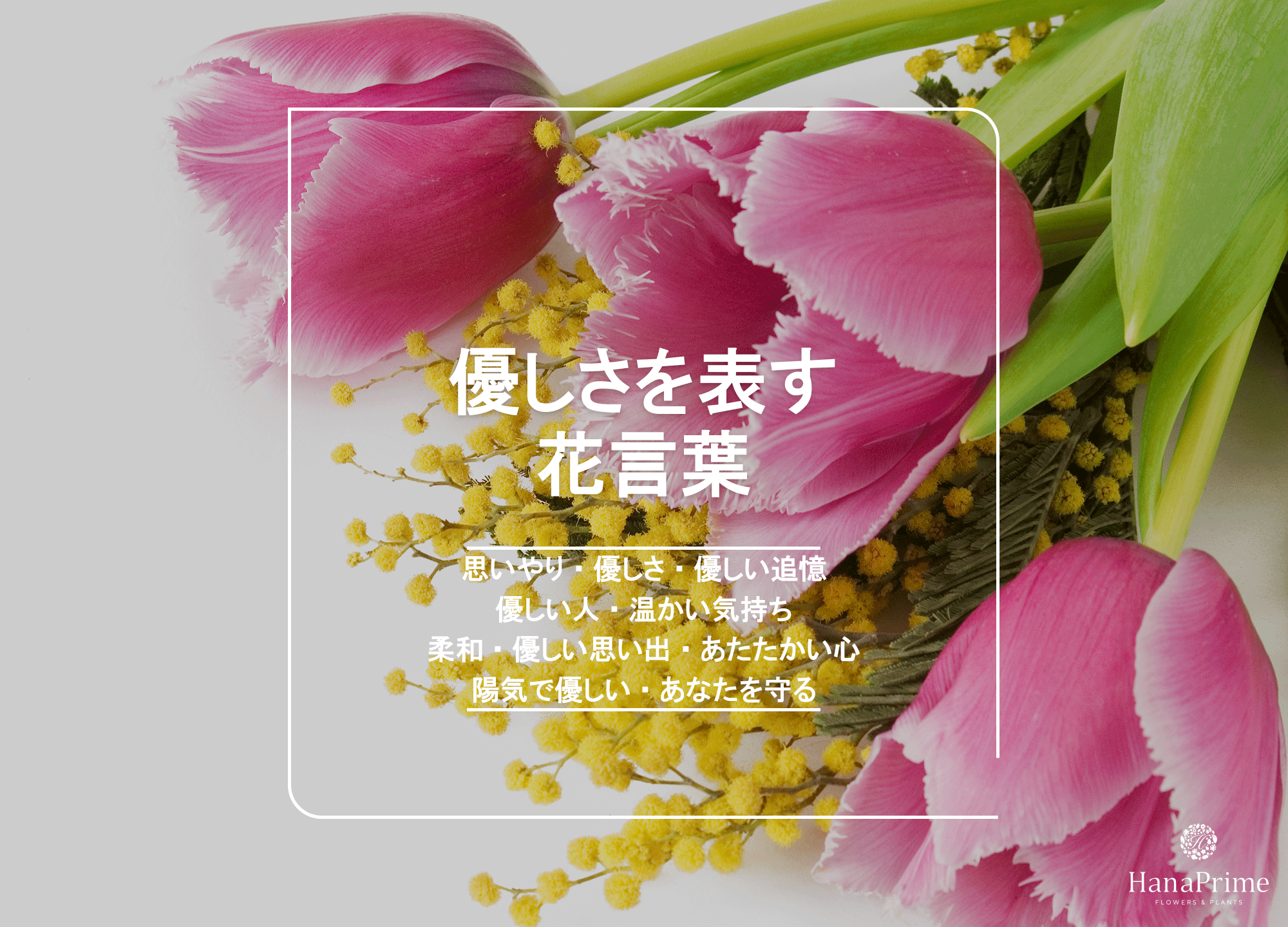 気持ちが楽になる言葉8選！楽になりたい！辛い時の心に響いてほんの一言に救われたりする言葉