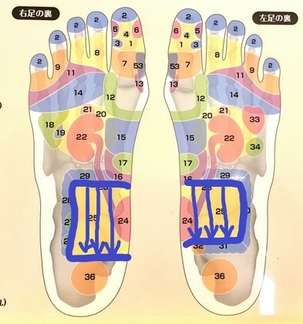 足裏つぼ図イラスト無料イラスト・フリー素材なら「イラストAC」
