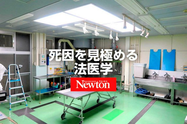 PowerPoint プレゼンテーション