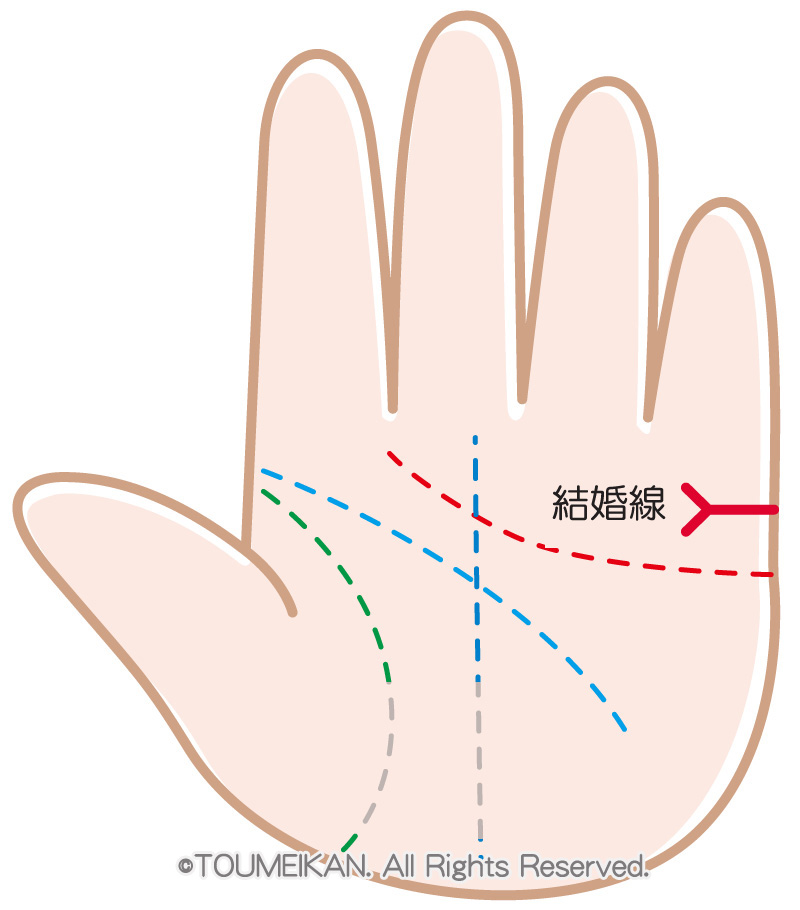 基本の感情線コワイほど当たる！ 手相占い芸人・島田秀平さんの最強手相占い！占いnon-no web