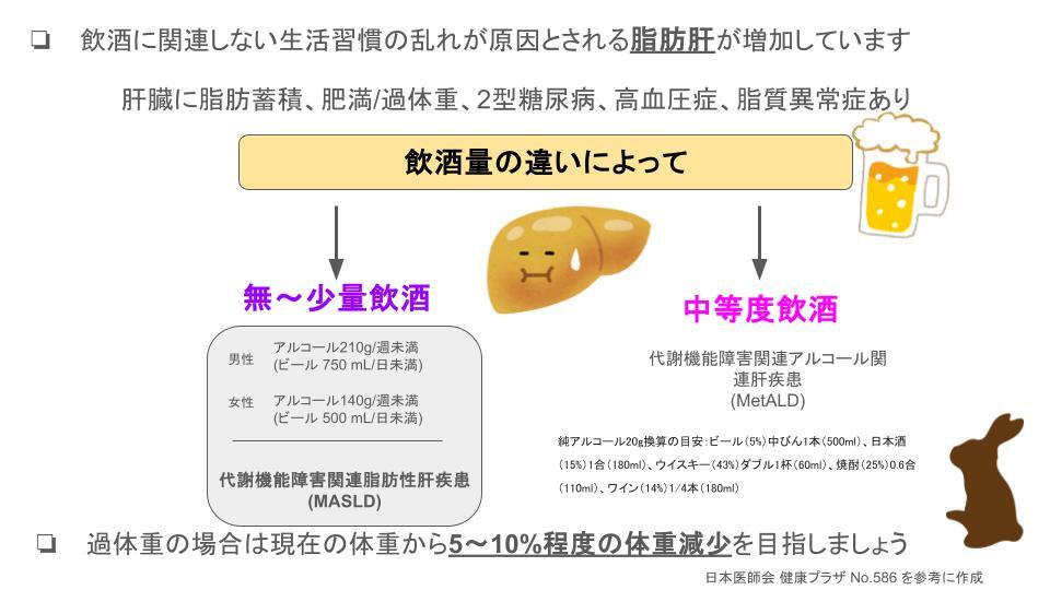 脂肪肝の原因と薬物治療による改善方法について解説ひまわり医院 内科・皮膚科