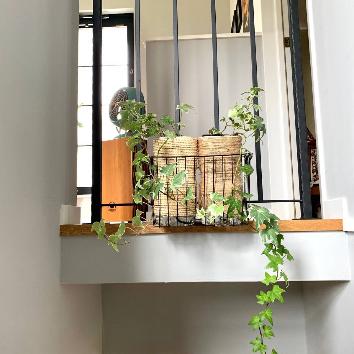 ペットボトルプランターを親子で楽しく♪作り方とおすすめのお花紹介植物の暮らしサポートマガジンPLANTE プランテ