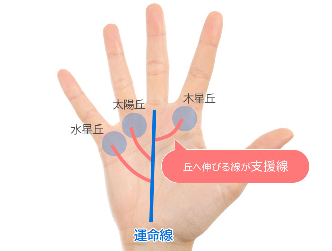 運命線の見方 太さ・位置でわかる仕事運と人生の転機手相解説無料占いcoemi コエミ