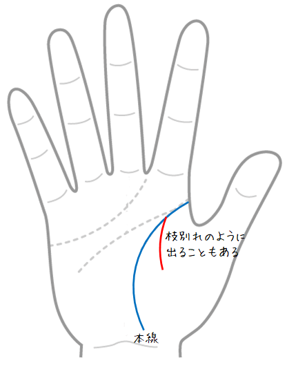 手相 生命線の枝分かれ 二股 の意味は？フィッシュ 3本 右手 島など特徴別 Callat media カラットメディア