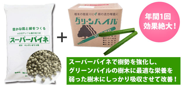 アオダモの育て方！水やり、肥料のやり方などを解説！🍀GreenSnap グリーンスナップ