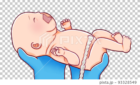 赤ちゃんが生まれる瞬間映像の検索結果 - Yahoo!きっず検索