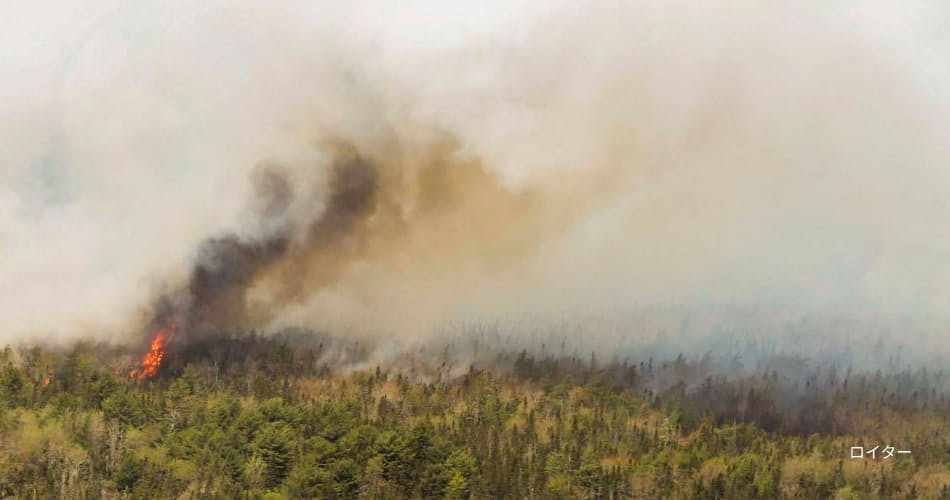 カリフォルニアで大規模山火事 2000人避難、死者も - 日本経済新聞