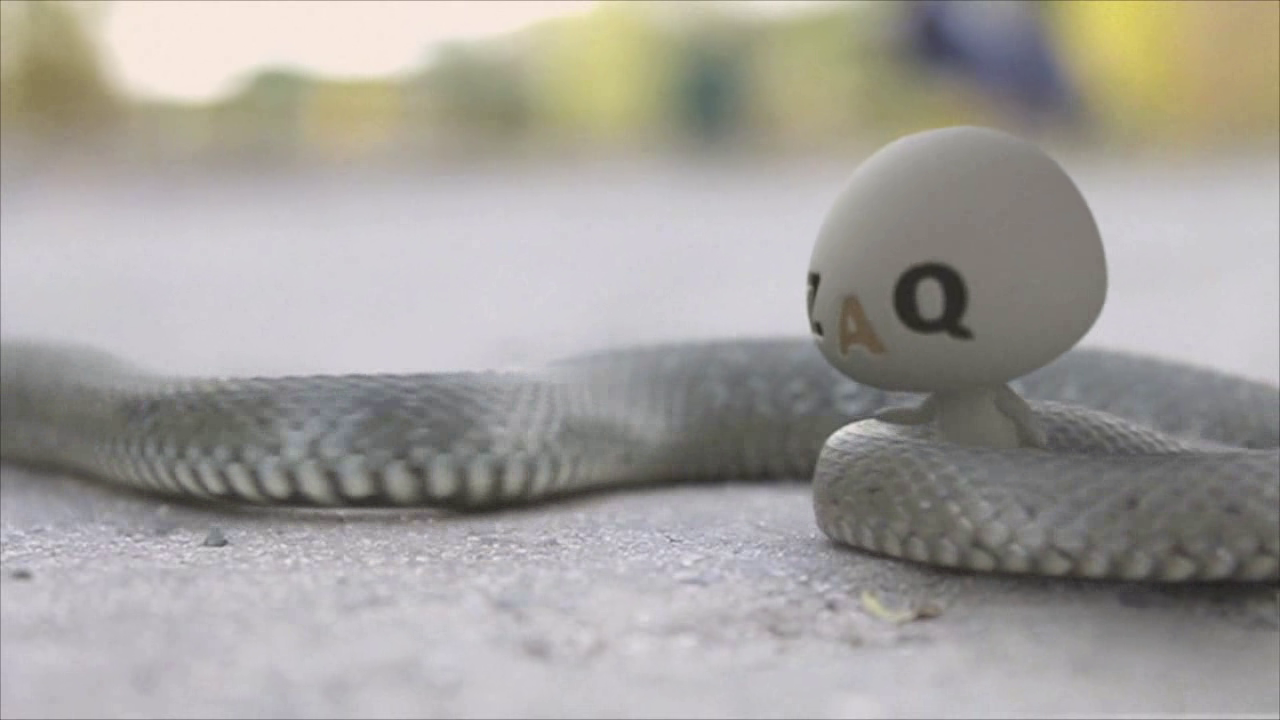 とぐろを巻く蛇の写真・画像素材-Snapmart スナップマート