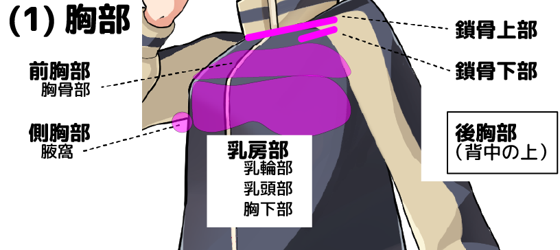 体の部分をいれた慣用句 – ブリッジぷりんと