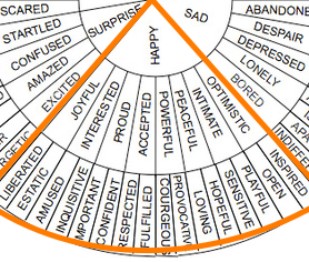 ニコルが日本人として森をつくったワケ 2024 04 25100年後の森の姿をアニメーションで描き、多くの人に伝えたい 一般財団法人C.W.ニコル・アファンの森財団 - クラウドファンディング READYFOR