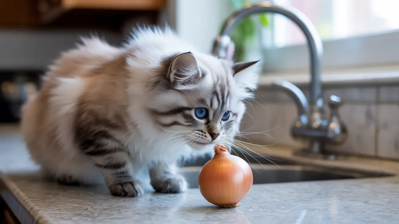 獣医師監修 猫に玉ねぎは危険。知っておきたい玉ねぎによる中毒ペットニュースストレージ ペット保険のペット&ファミリー損保