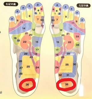 足裏・反射区の図 -用賀 長閑 nodoka -ノドカ