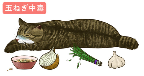 猫が玉ねぎを食べたときの症状と応急処置を獣医が解説ペット保険のPS保険