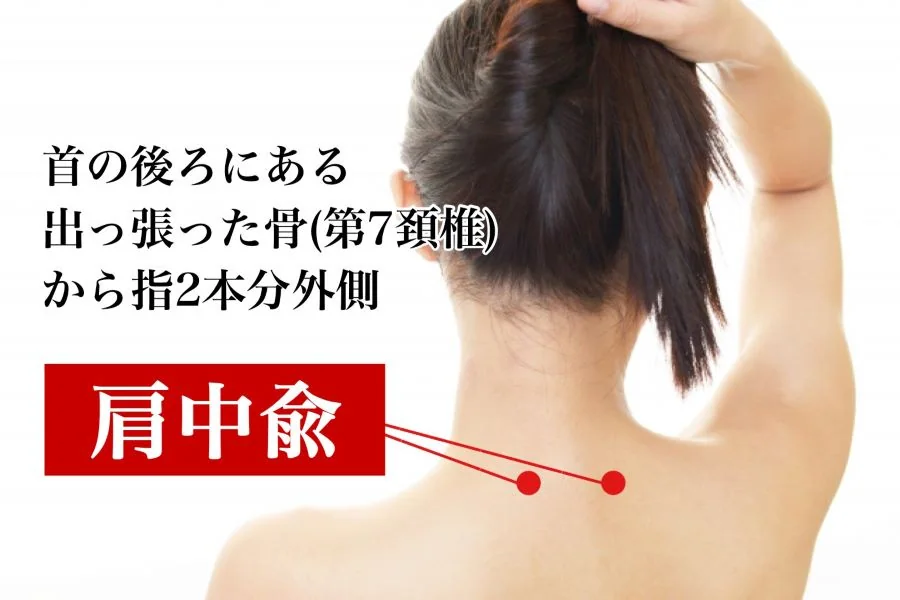 家庭でできるつぼケア つぼの位置 ④ 背中・腰・臀部