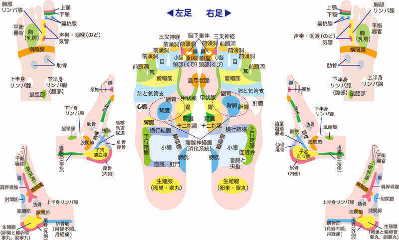 楽天市場 足 裏 の ツボ 図解の通販