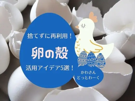 卵の殻」の再利用アイデア12選。DIYから掃除まで大活躍！ - macaroni