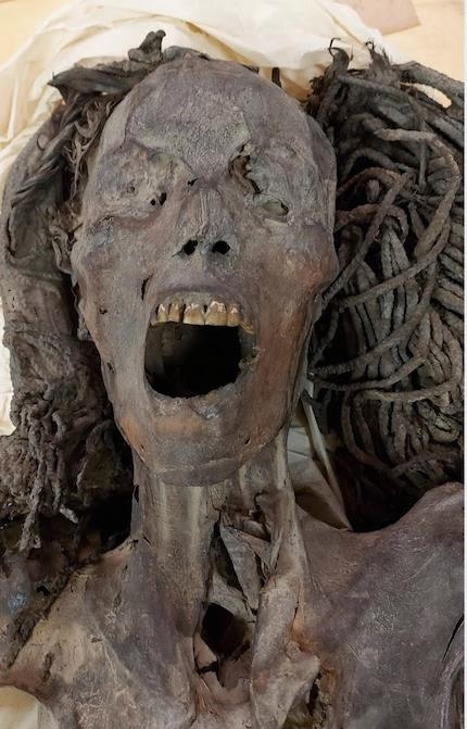 国立科学博物館 スペシャルサポーターのビートたけしさんも登場！特別展「ミイラ 永遠の命を求めて」内覧会レポートたいとう文化マルシェ