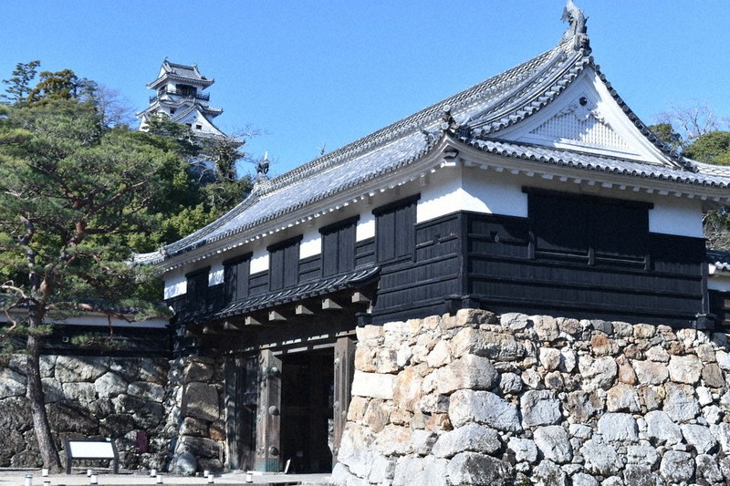 ファイル:Kochi castle - 高知城 -