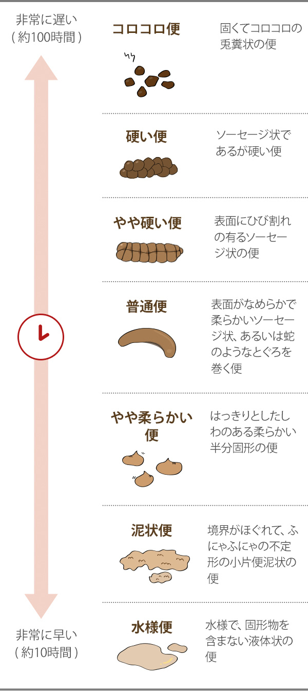 ちゃんといいウンチ出てる？ 知って得するウンチの話済生会