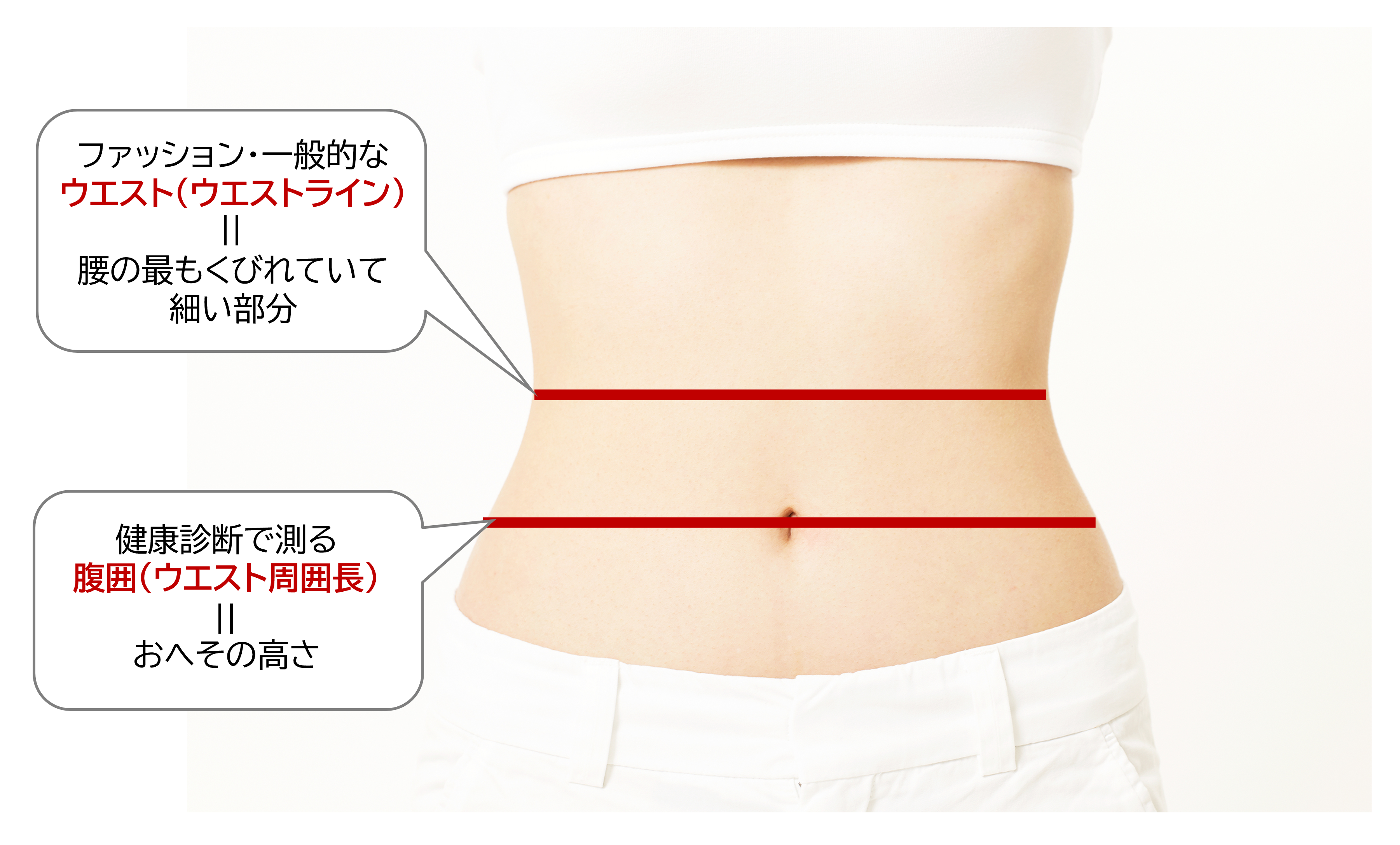 痩せ型男性のがっちりボディへの道 編集部員・森本の勝手にバルクアップWeb Magazine VITUP!ヴィタップ