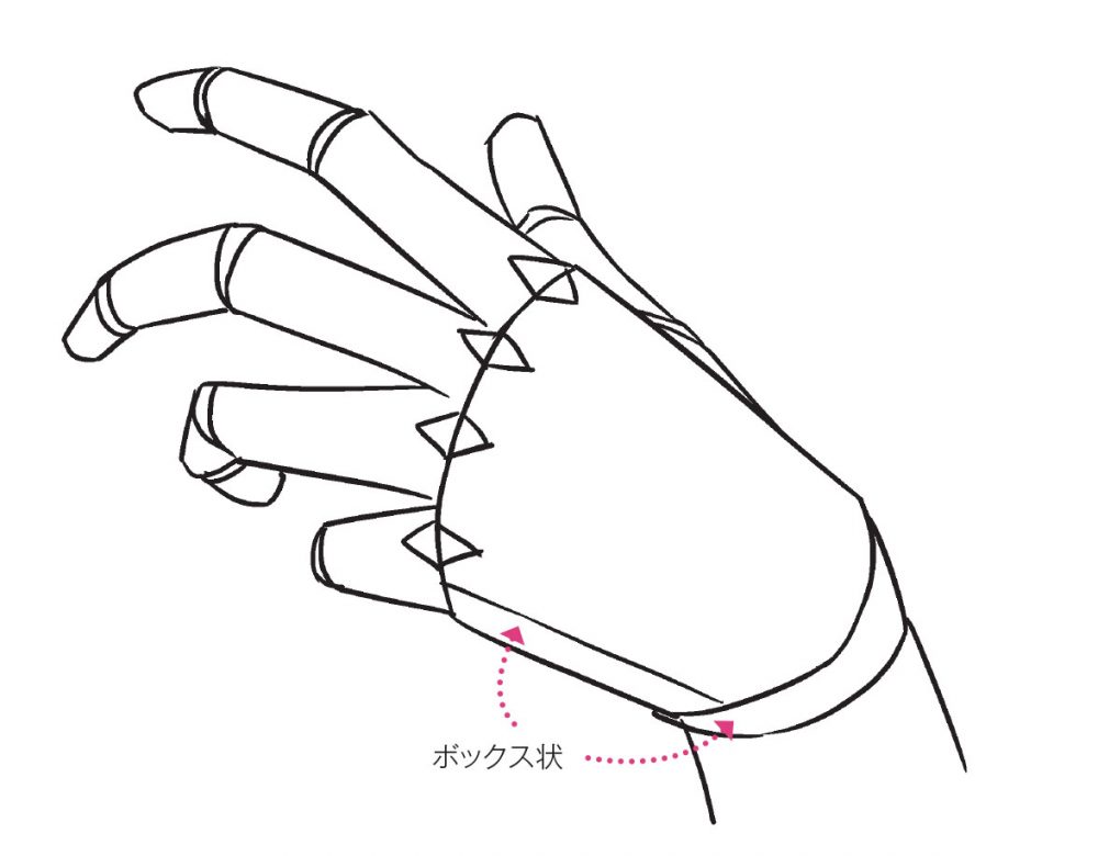 手や指のイラストの描き方講座。構造理解のコツ・描き分け参考資料も！ お絵かき講座パルミ