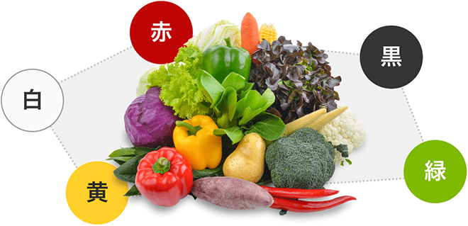 さ行から始まる 食品 の 栄養成分 まとめ 栄養 コンシェルジュ と学ぶ 食品の栄養